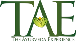 The Ayurveda Experience India