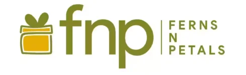 FNP